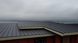 Best Solar Panel Roofing Installation  in Randleman, NC